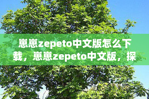 崽崽zepeto中文版怎么下载，崽崽zepeto中文版，探索虚拟世界的时尚之旅