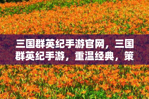 三国群英纪手游官网,三国群英纪手游,重温经典,策略与激情的碰撞 三国群英纪手游官网,三国群英纪手游,重温经典,策略与激情的碰撞