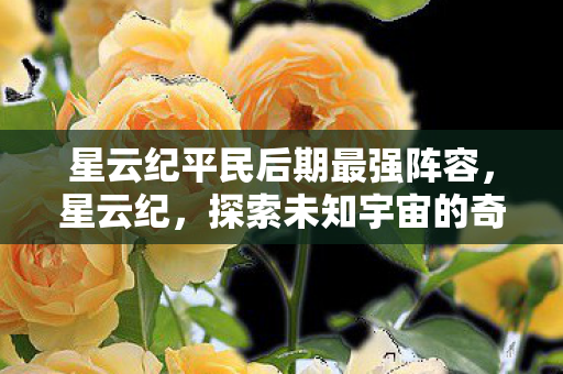 星云纪平民后期最强阵容，星云纪，探索未知宇宙的奇妙之旅