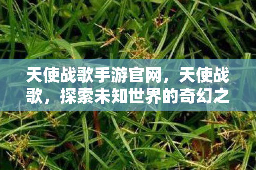 天使战歌手游官网，天使战歌，探索未知世界的奇幻之旅