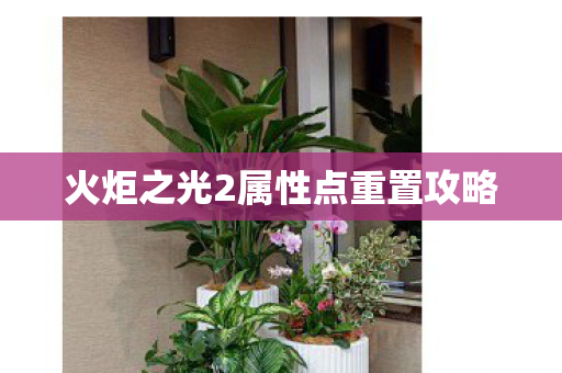 火炬之光2属性点重置攻略 火炬之光2属性点重置攻略
