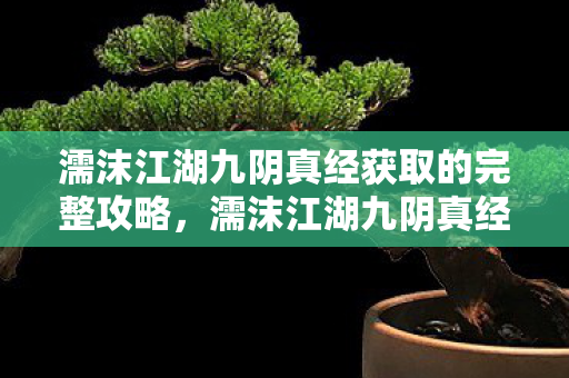 濡沫江湖九阴真经获取的完整攻略,濡沫江湖九阴真经,探寻武侠世界的奥秘 濡沫江湖九阴真经获取的完整攻略,濡沫江湖九阴真经,探寻武侠世界的奥秘