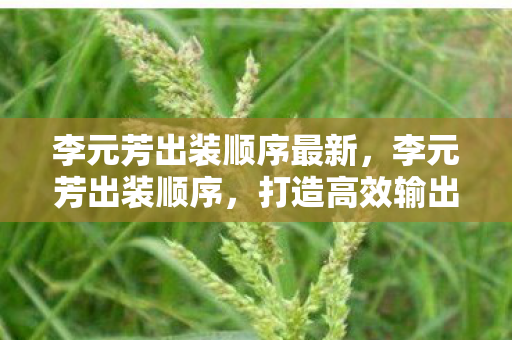 李元芳出装顺序最新,李元芳出装顺序,打造高效输出的关键 李元芳出装顺序最新,李元芳出装顺序,打造高效输出的关键