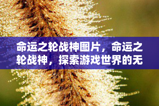 命运之轮战神图片，命运之轮战神，探索游戏世界的无限可能