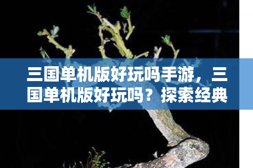 三国单机版好玩吗手游,三国单机版好玩吗?探索经典策略游戏的魅力 三国单机版好玩吗手游,三国单机版好玩吗?探索经典策略游戏的魅力