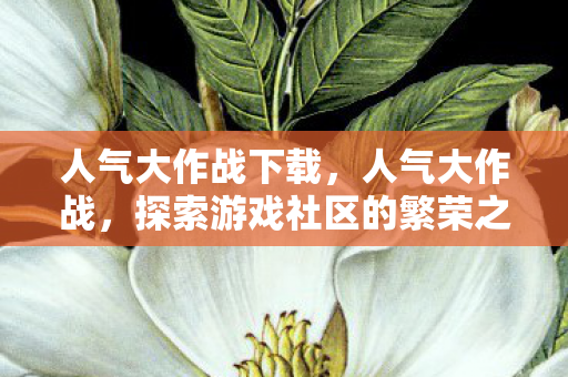 人气大作战下载,人气大作战,探索游戏社区的繁荣之路 人气大作战下载,人气大作战,探索游戏社区的繁荣之路