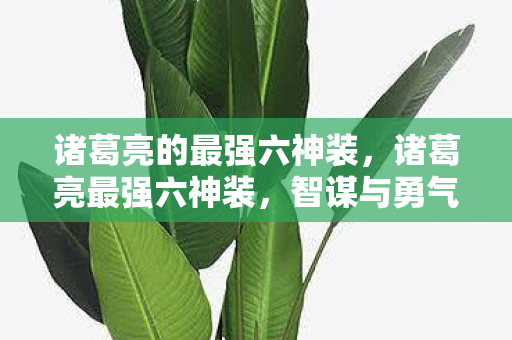 诸葛亮的最强六神装,诸葛亮最强六神装,智谋与勇气的完美结合 诸葛亮的最强六神装,诸葛亮最强六神装,智谋与勇气的完美结合