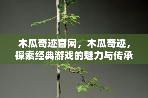 木瓜奇迹官网,木瓜奇迹,探索经典游戏的魅力与传承 木瓜奇迹官网,木瓜奇迹,探索经典游戏的魅力与传承