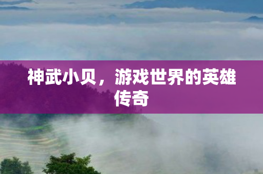 神武小贝，游戏世界的英雄传奇
