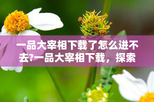 一品大宰相下载了怎么进不去?一品大宰相下载,探索历史名臣的智慧与影响 一品大宰相下载了怎么进不去?一品大宰相下载,探索历史名臣的智慧与影响