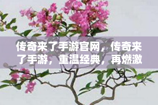 传奇来了手游官网，传奇来了手游，重温经典，再燃激情