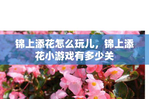 锦上添花怎么玩儿,锦上添花小游戏有多少关 锦上添花怎么玩儿,锦上添花小游戏有多少关