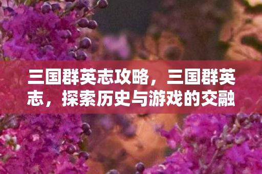 三国群英志攻略，三国群英志，探索历史与游戏的交融
