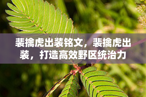 裴擒虎出装铭文，裴擒虎出装，打造高效野区统治力
