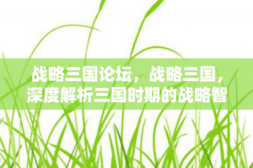 战略三国论坛,战略三国,深度解析三国时期的战略智慧与军事艺术 战略三国论坛,战略三国,深度解析三国时期的战略智慧与军事艺术