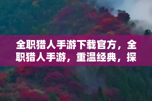 全职猎人手游下载官方,全职猎人手游,重温经典,探索未知 全职猎人手游下载官方,全职猎人手游,重温经典,探索未知