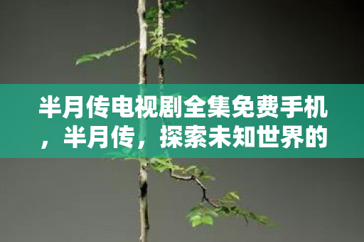 半月传电视剧全集免费手机,半月传,探索未知世界的神秘之旅 半月传电视剧全集免费手机,半月传,探索未知世界的神秘之旅
