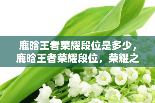 鹿晗王者荣耀段位是多少,鹿晗王者荣耀段位,荣耀之巅,王者风范 鹿晗王者荣耀段位是多少,鹿晗王者荣耀段位,荣耀之巅,王者风范