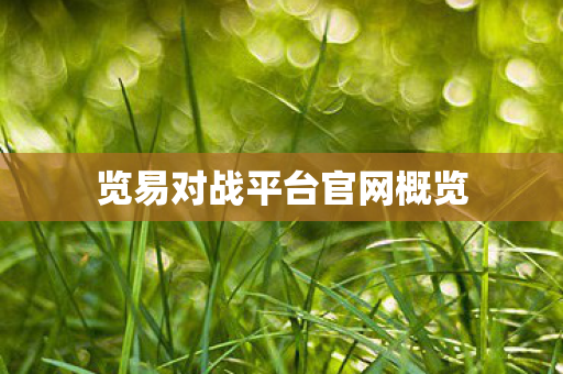 览易对战平台官网概览 览易对战平台官网概览