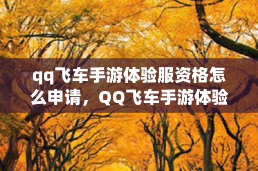 qq飞车手游体验服资格怎么申请，QQ飞车手游体验服资格，抢先体验，乐趣无限