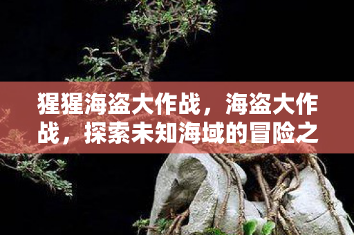 猩猩海盗大作战,海盗大作战,探索未知海域的冒险之旅 猩猩海盗大作战,海盗大作战,探索未知海域的冒险之旅