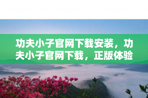 功夫小子官网下载安装，功夫小子官网下载，正版体验，畅享无限