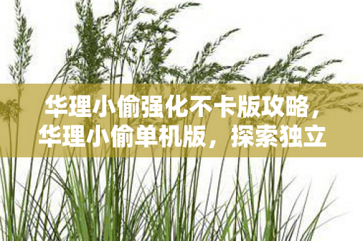 华理小偷强化不卡版攻略,华理小偷单机版,探索独立游戏的乐趣与自由 华理小偷强化不卡版攻略,华理小偷单机版,探索独立游戏的乐趣与自由
