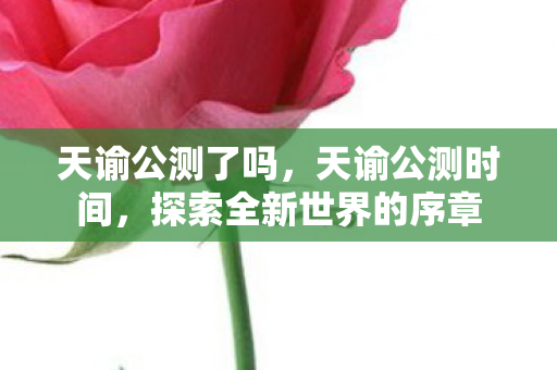 天谕公测了吗，天谕公测时间，探索全新世界的序章