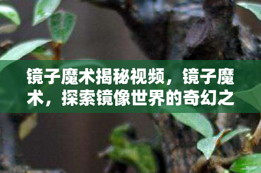 镜子魔术揭秘视频，镜子魔术，探索镜像世界的奇幻之旅