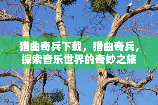 猎曲奇兵下载,猎曲奇兵,探索音乐世界的奇妙之旅 猎曲奇兵下载,猎曲奇兵,探索音乐世界的奇妙之旅