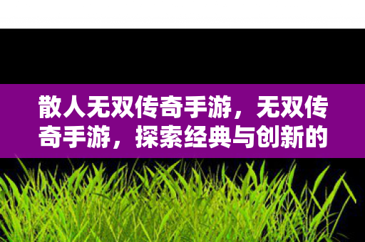散人无双传奇手游,无双传奇手游,探索经典与创新的完美融合 散人无双传奇手游,无双传奇手游,探索经典与创新的完美融合
