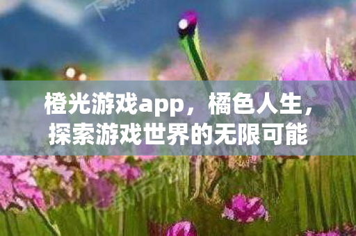 橙光游戏app，橘色人生，探索游戏世界的无限可能