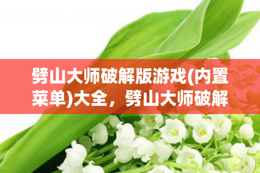 劈山大师破解版游戏(内置菜单)大全，劈山大师破解版，解锁无限可能的武侠之旅