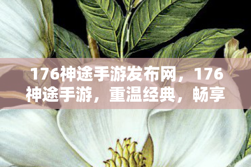 176神途手游发布网，176神途手游，重温经典，畅享无限可能