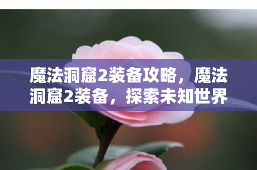 魔法洞窟2装备攻略，魔法洞窟2装备，探索未知世界的利器