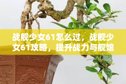 战舰少女61怎么过，战舰少女61攻略，提升战力与舰娘养成全解析