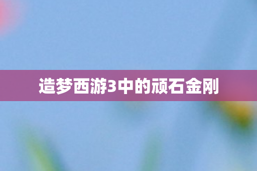 造梦西游3中的顽石金刚 造梦西游3中的顽石金刚