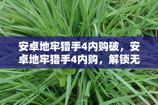 安卓地牢猎手4内购破,安卓地牢猎手4内购,解锁无限可能的冒险之旅 安卓地牢猎手4内购破,安卓地牢猎手4内购,解锁无限可能的冒险之旅