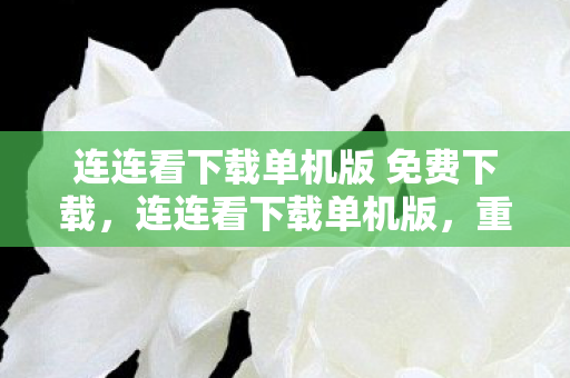 连连看下载单机版 免费下载，连连看下载单机版，重温经典，尽享单机乐趣