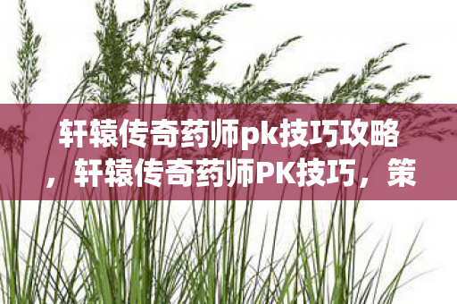 轩辕传奇药师pk技巧攻略,轩辕传奇药师PK技巧,策略与操作的艺术 轩辕传奇药师pk技巧攻略,轩辕传奇药师PK技巧,策略与操作的艺术