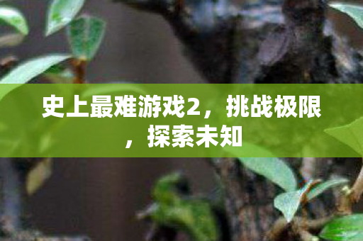 史上最难游戏2,挑战极限,探索未知 史上最难游戏2,挑战极限,探索未知