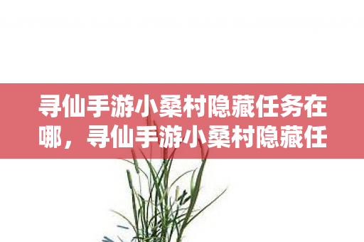 寻仙手游小桑村隐藏任务在哪,寻仙手游小桑村隐藏任务,探索未知的乐趣 寻仙手游小桑村隐藏任务在哪,寻仙手游小桑村隐藏任务,探索未知的乐趣