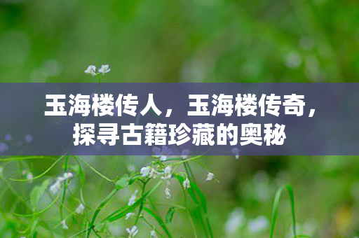 玉海楼传人,玉海楼传奇,探寻古籍珍藏的奥秘 玉海楼传人,玉海楼传奇,探寻古籍珍藏的奥秘