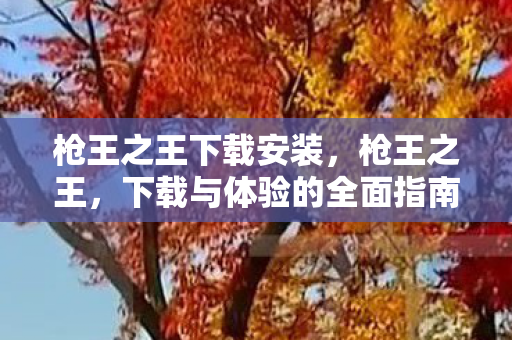 枪王之王下载安装,枪王之王,下载与体验的全面指南 枪王之王下载安装,枪王之王,下载与体验的全面指南