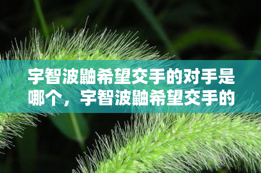 宇智波鼬希望交手的对手是哪个,宇智波鼬希望交手的对手是谁 宇智波鼬希望交手的对手是哪个,宇智波鼬希望交手的对手是谁