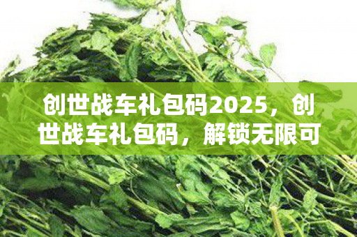 创世战车礼包码2025，创世战车礼包码，解锁无限可能的战斗之旅