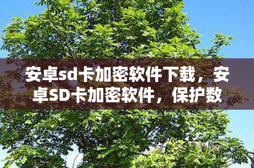 安卓sd卡加密软件下载，安卓SD卡加密软件，保护数据安全的新选择