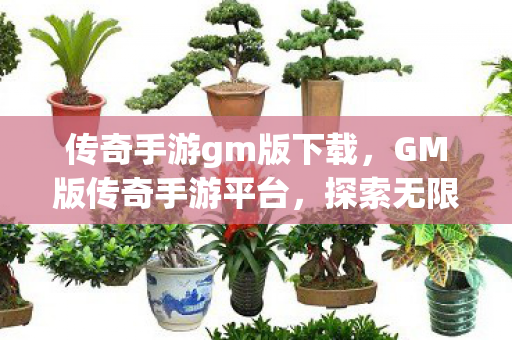 传奇手游gm版下载，GM版传奇手游平台，探索无限可能的虚拟世界