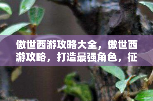 傲世西游攻略大全，傲世西游攻略，打造最强角色，征服三界！