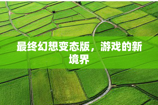 最终幻想变态版,游戏的新境界 最终幻想变态版,游戏的新境界